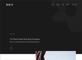 Real Estate Web Design Design Example