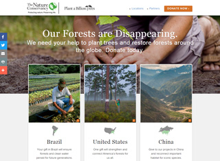 Charity Web Design Design Example