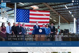 Political Web Design Design Example