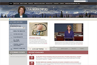 Political Web Design Design Example