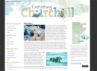 Travel Web Design Design Example