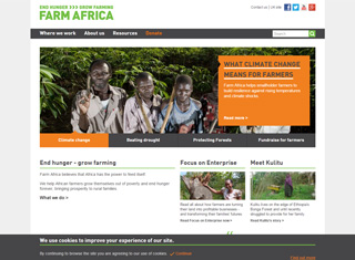 Charity Web Design Design Example