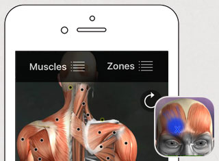 Chiropractor App Development Design Example