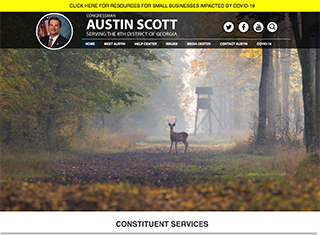 Political Web Design Design Example