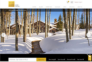 Real Estate Web Design Design Example